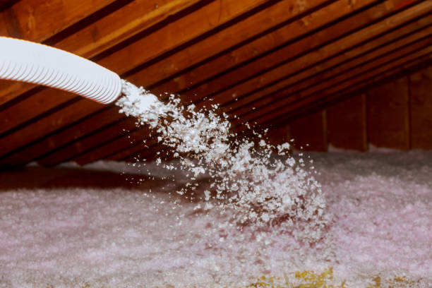 Best Best Insulation Companies  in USA